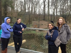 The students in the tiger group studying their subjects and looking for interesting behavior issues.